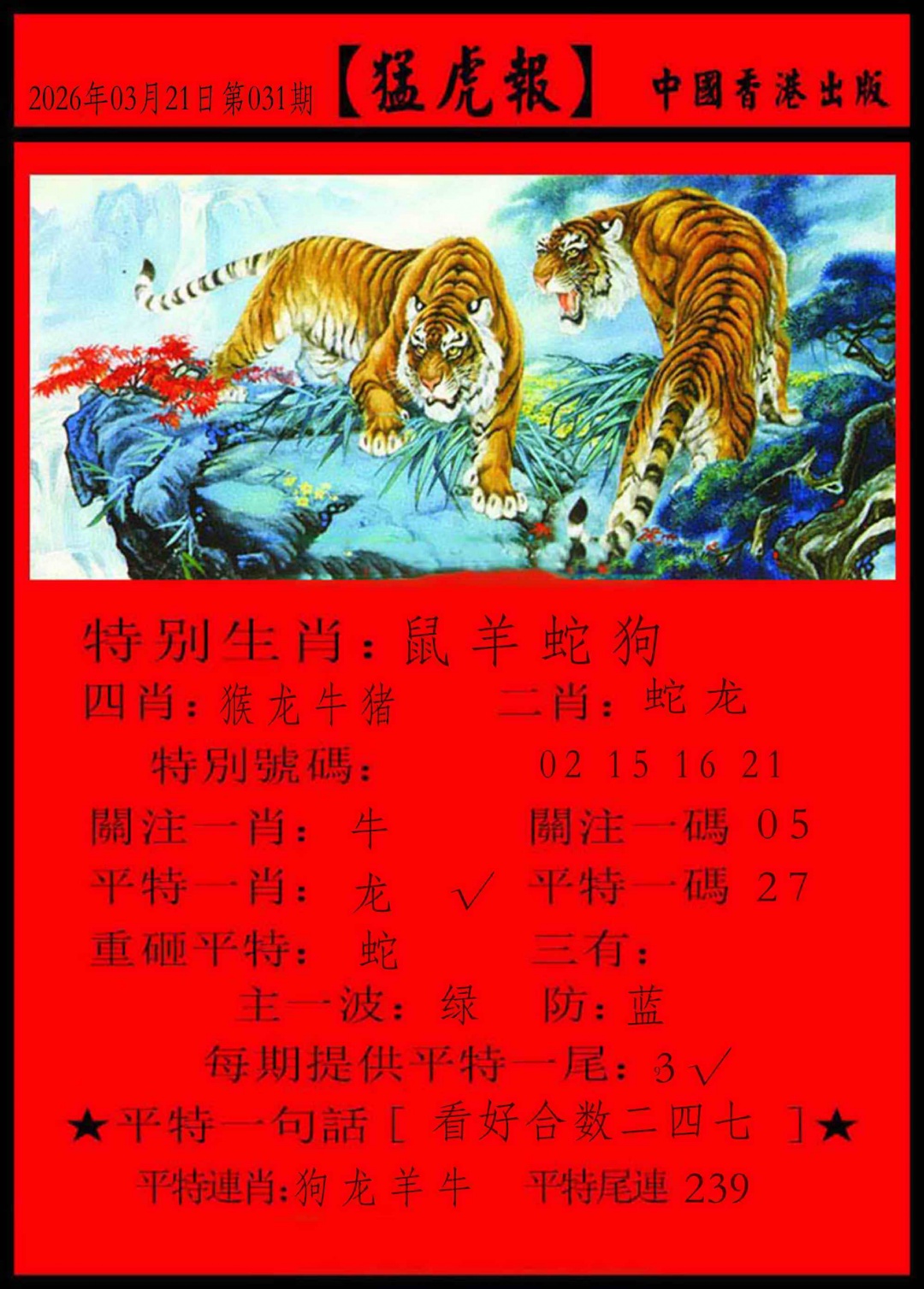 031期猛虎报[图]