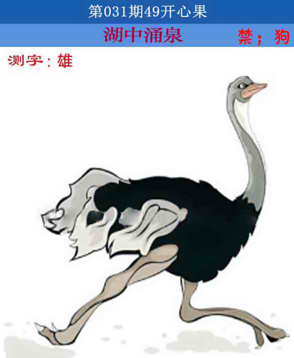 031期四九开心果[图]