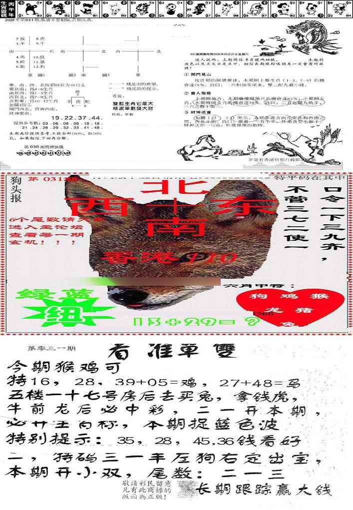 031期特码内幕B[图]