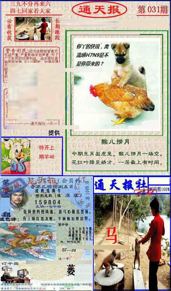 031期实力通天报[图]