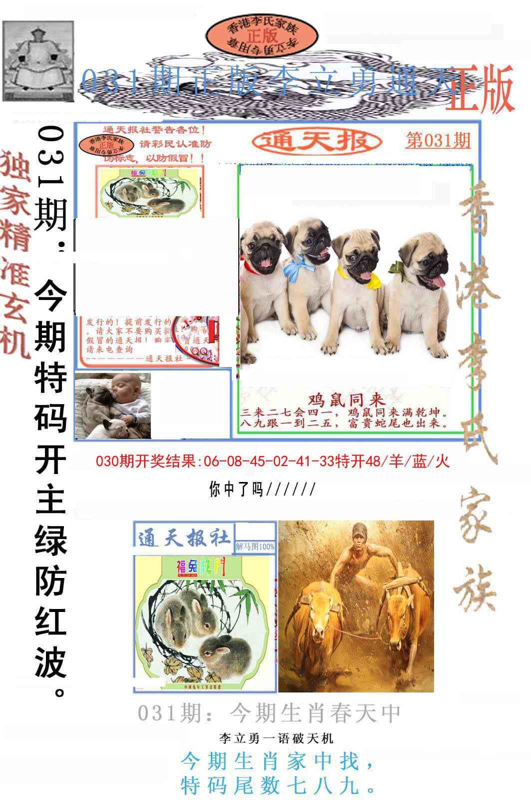 031期李力勇通天报[图]